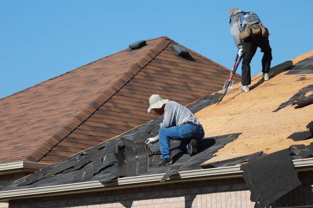 Skylights in East Grand Rapids, MI