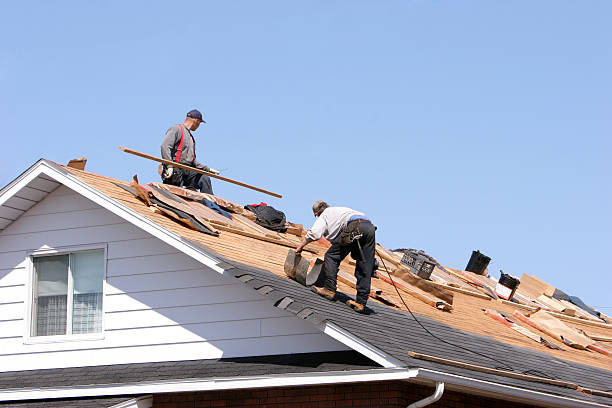 Best Sheet Metal Roofing  in East Grand Rapids, MI